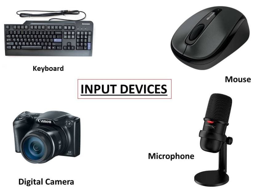 Input Devices