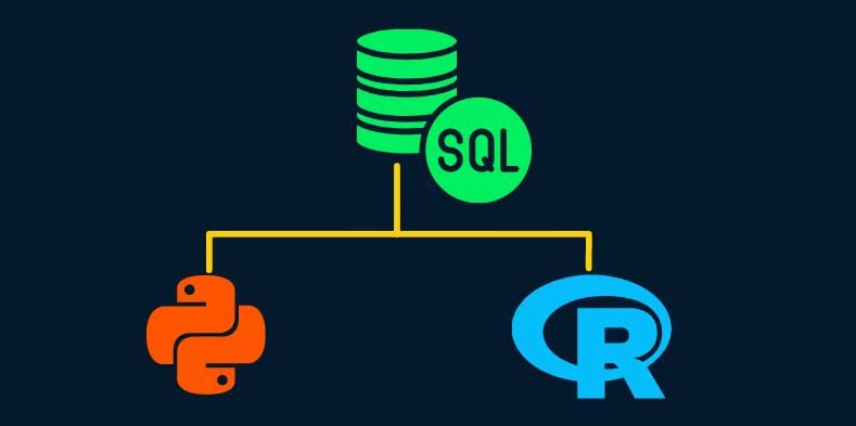 شرح مجال علم البيانات Data Science